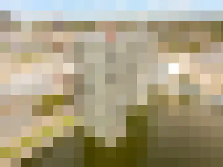 Koetsierbaan 201 Almere thumbnail 33