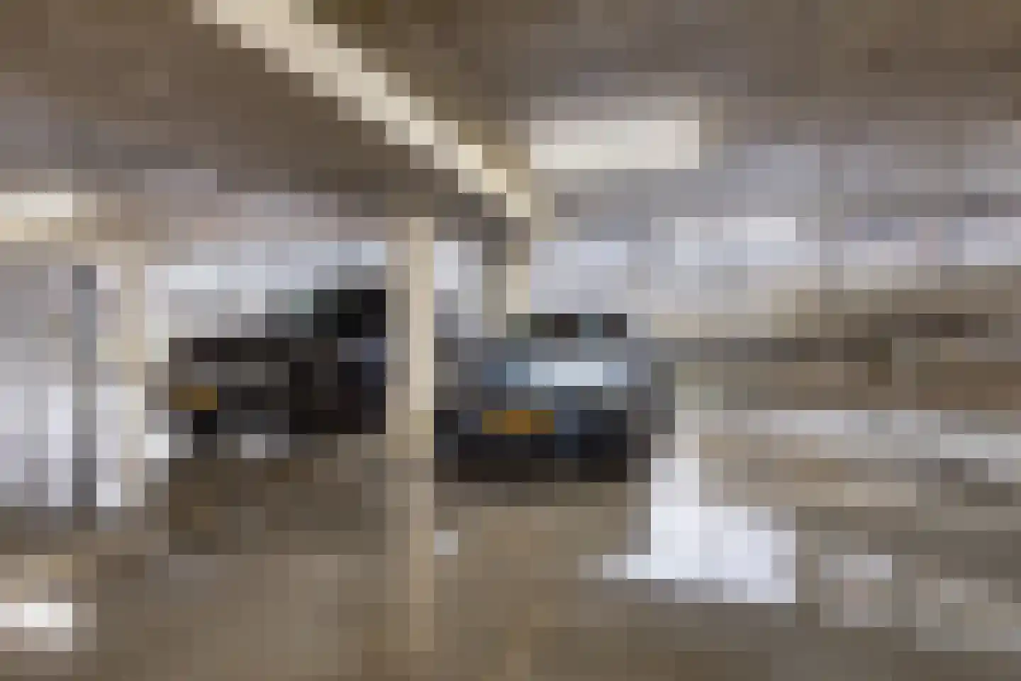 Koetsierbaan 223 Almere thumbnail 24