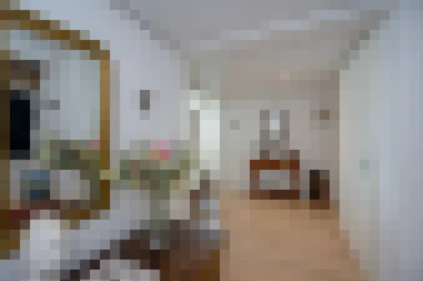 Koetsierbaan 255 Almere thumbnail 6