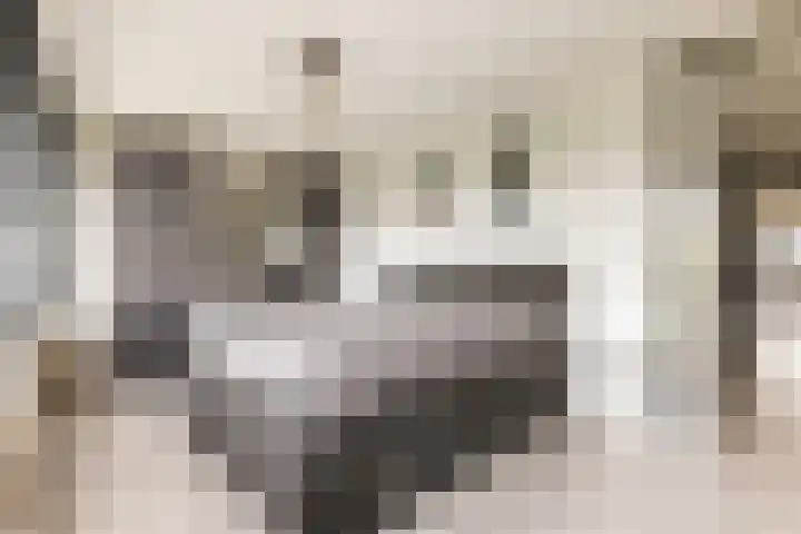 Koetsierbaan 333 Almere thumbnail 13