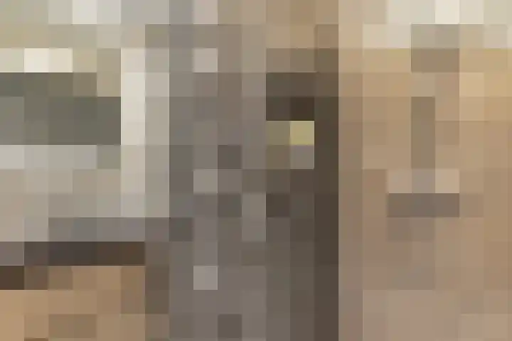 Koetsierbaan 333 Almere thumbnail 18