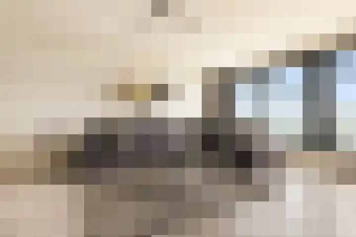 Koetsierbaan 333 Almere thumbnail 21