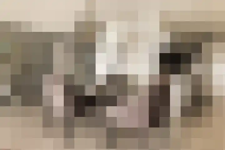 Koetsierbaan 333 Almere thumbnail 27