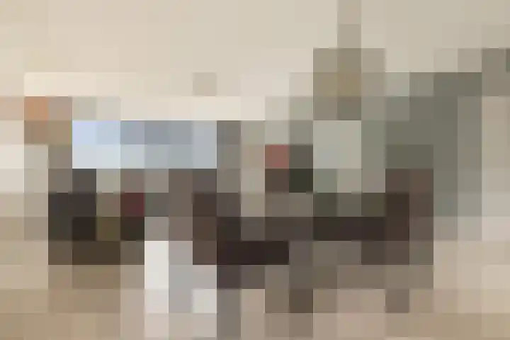 Koetsierbaan 333 Almere thumbnail 28