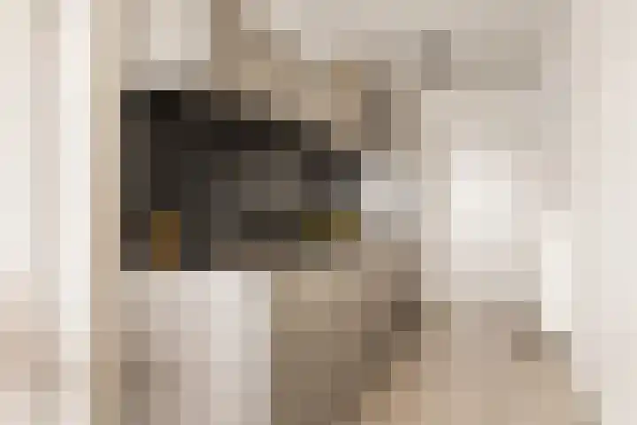 Koetsierbaan 333 Almere thumbnail 30