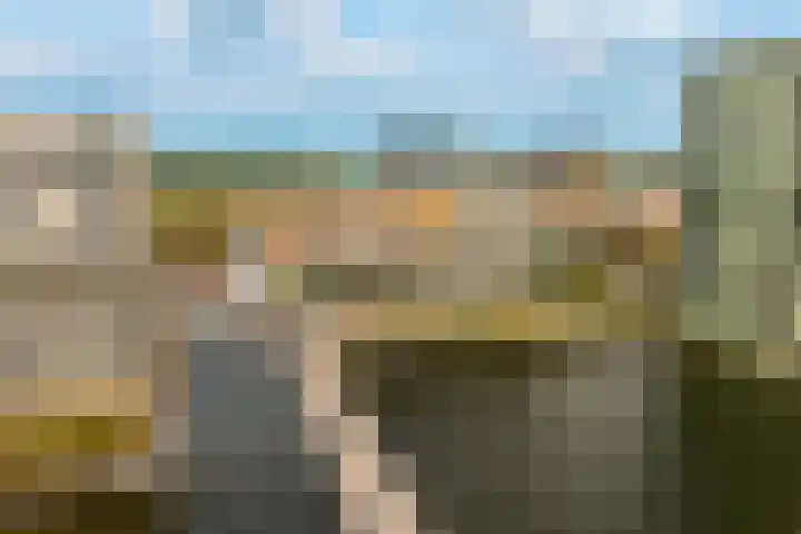 Koetsierbaan 333 Almere thumbnail 39