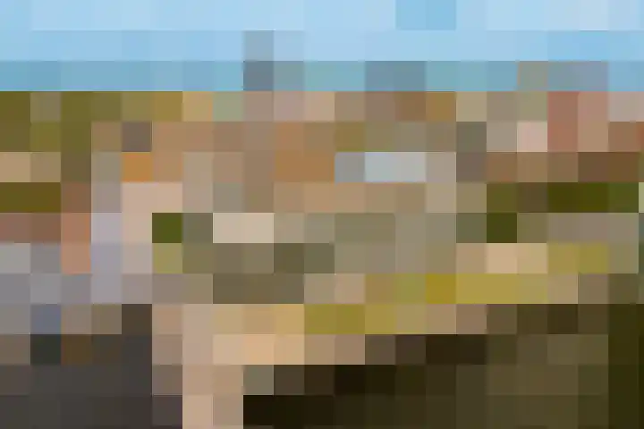 Koetsierbaan 333 Almere thumbnail 40