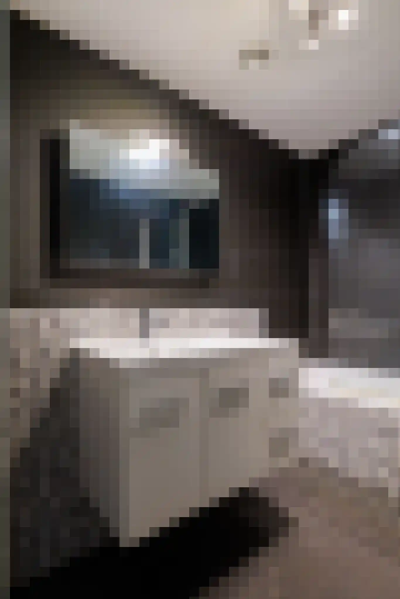 Koetsierbaan 353 Almere thumbnail 31