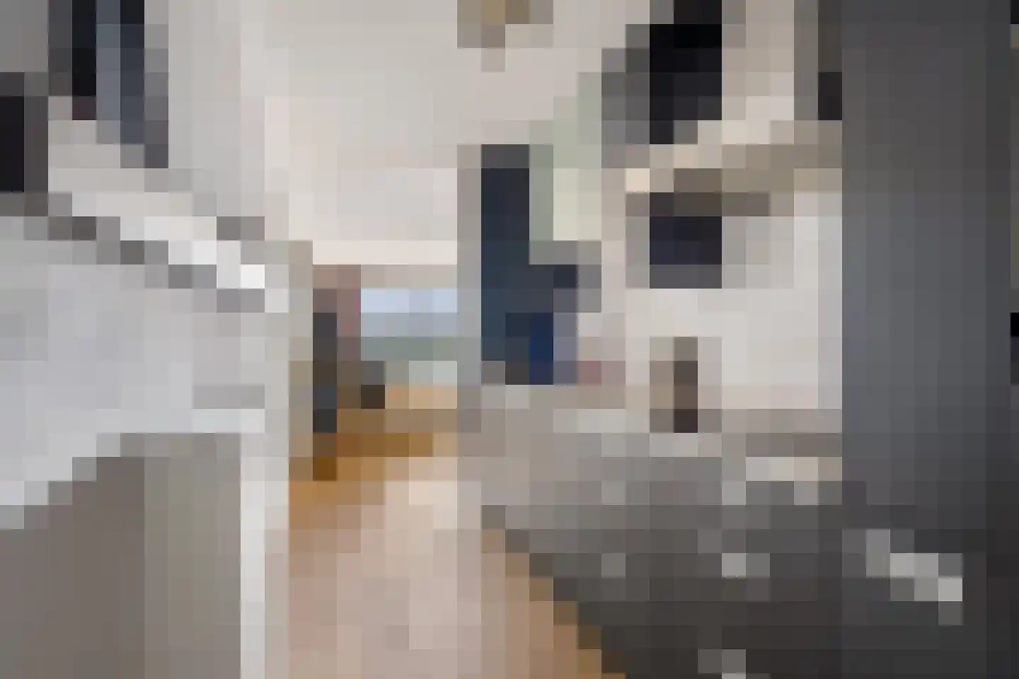 Koetsierbaan 381 Almere thumbnail 24