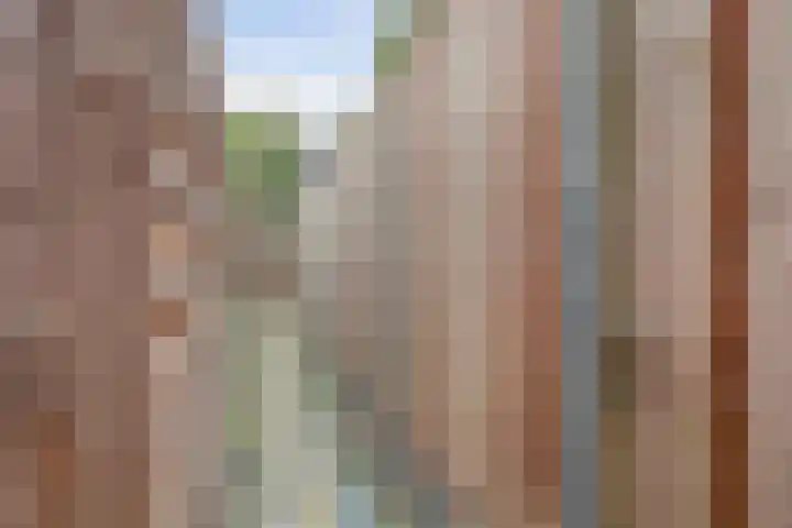 Koetsierbaan 387 Almere thumbnail 23