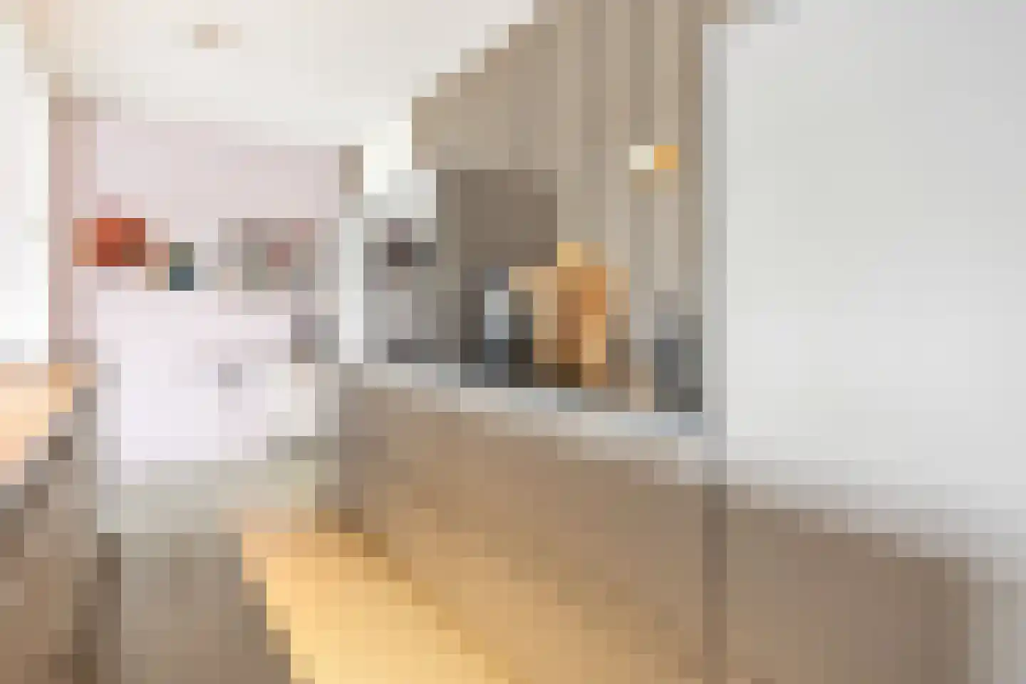Koetsierbaan 395 Almere thumbnail 7
