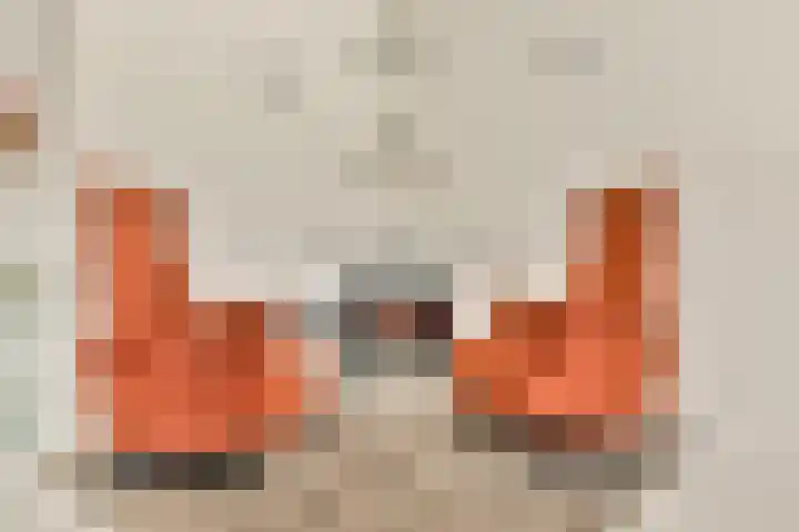 Koetsierstuin 17 Zevenhuizen thumbnail 11
