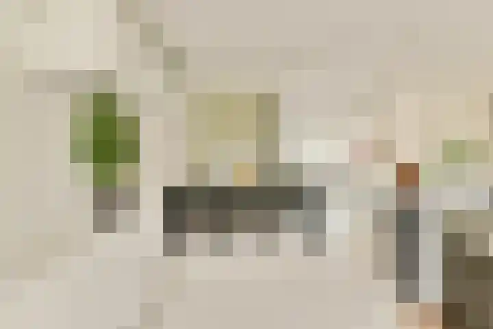 Koetsierstuin 17 Zevenhuizen thumbnail 12