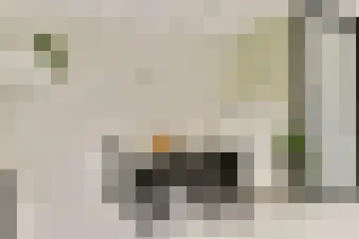 Koetsierstuin 17 Zevenhuizen thumbnail 13