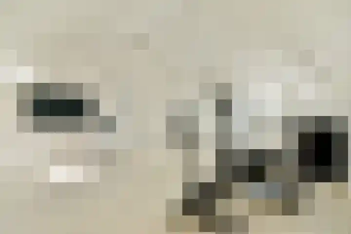 Koetsierstuin 17 Zevenhuizen thumbnail 31