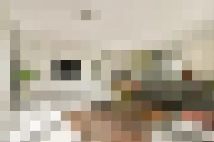 Koetsierstuin 17 Zevenhuizen thumbnail 9