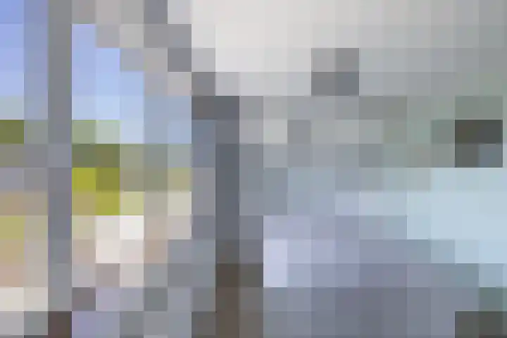 Koetsierstuin 20 Zevenhuizen thumbnail 11
