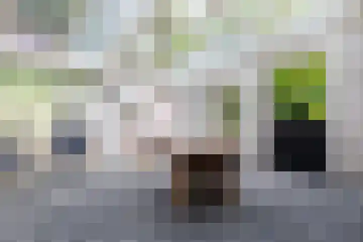 Koetsierstuin 20 Zevenhuizen thumbnail 12