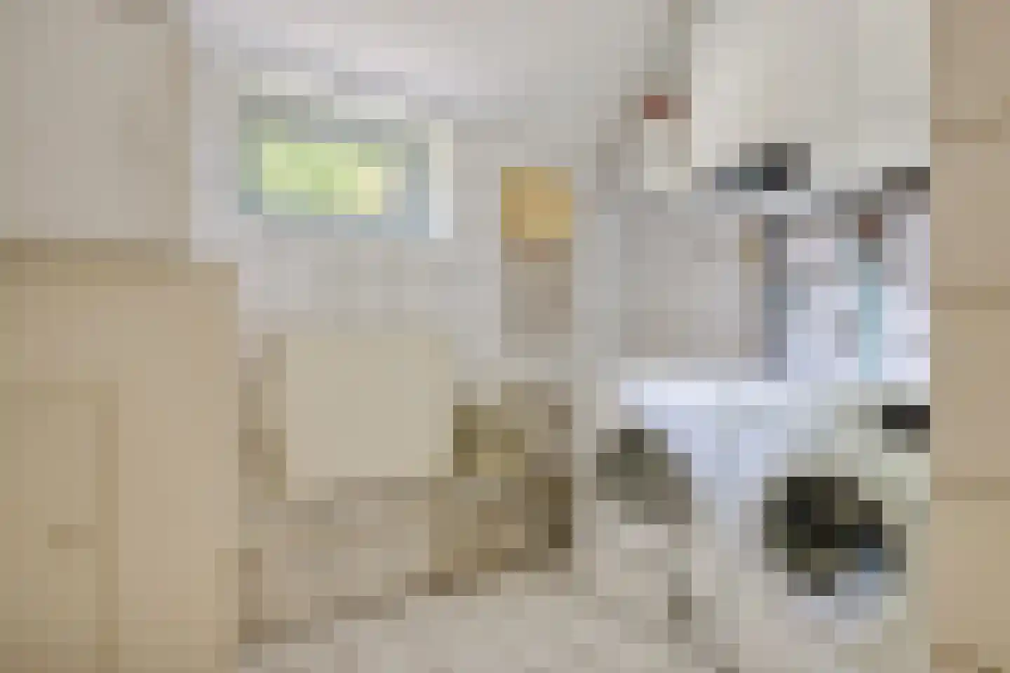 Koetsierstuin 20 Zevenhuizen thumbnail 15