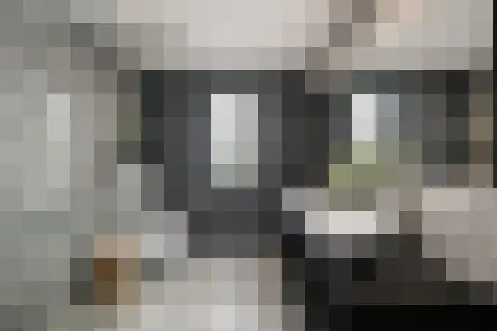 Koetsierstuin 20 Zevenhuizen thumbnail 19