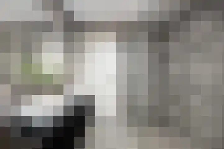 Koetsierstuin 20 Zevenhuizen thumbnail 20