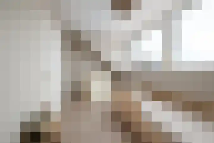 Koetsierstuin 20 Zevenhuizen thumbnail 21