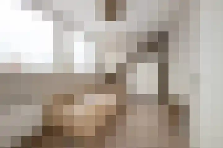 Koetsierstuin 20 Zevenhuizen thumbnail 22