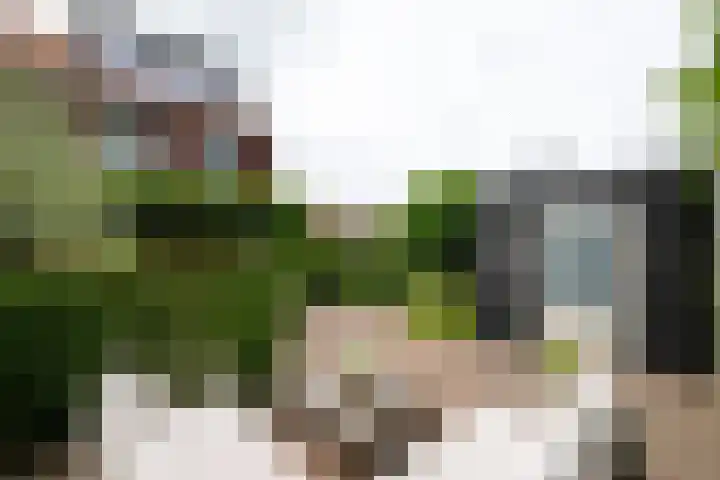 Koetsierstuin 20 Zevenhuizen thumbnail 24