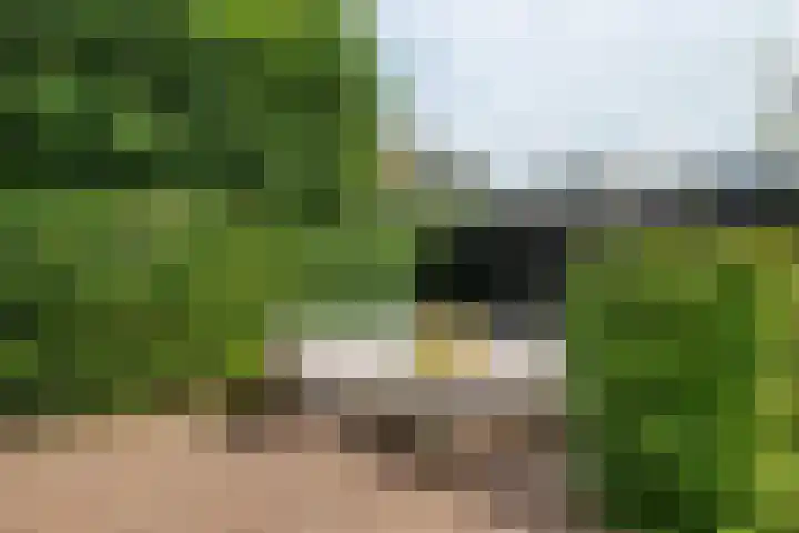 Koetsierstuin 20 Zevenhuizen thumbnail 25