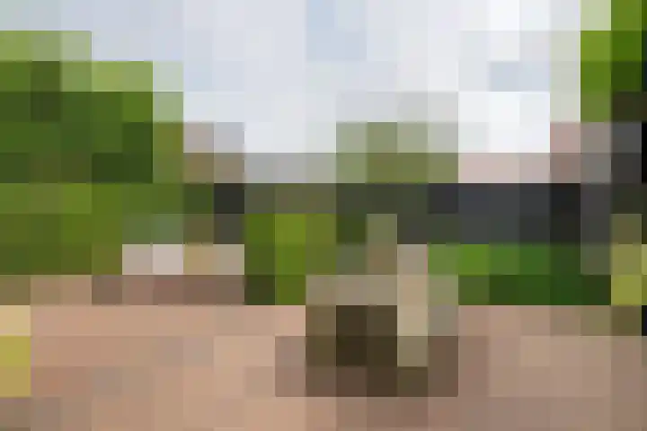 Koetsierstuin 20 Zevenhuizen thumbnail 26