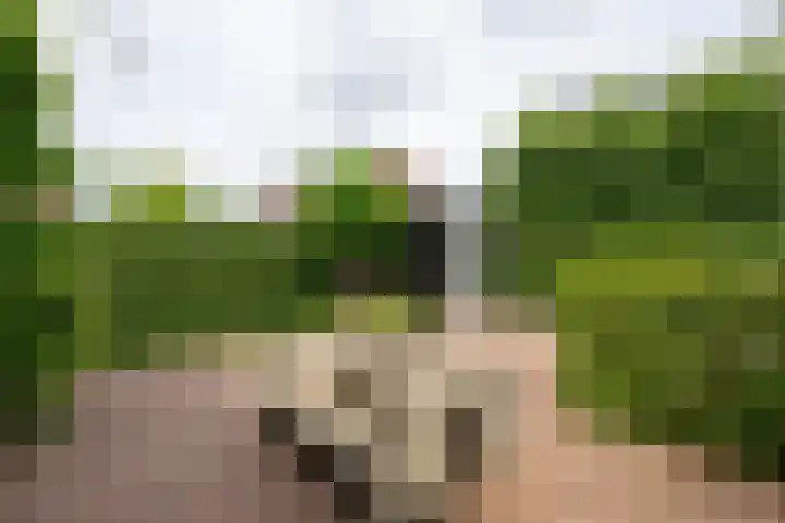 Koetsierstuin 20 Zevenhuizen thumbnail 27