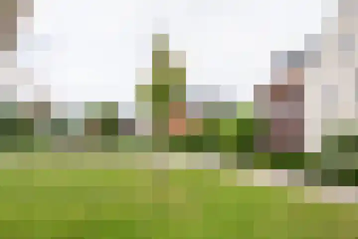 Koetsierstuin 20 Zevenhuizen thumbnail 29