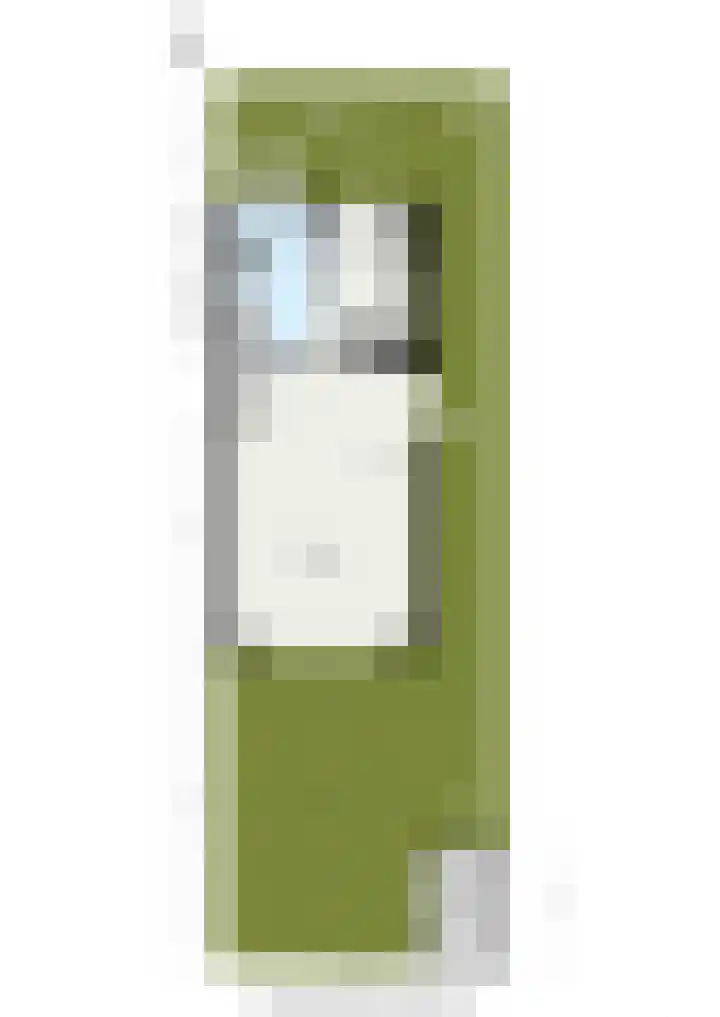 Koetsierstuin 20 Zevenhuizen thumbnail 33