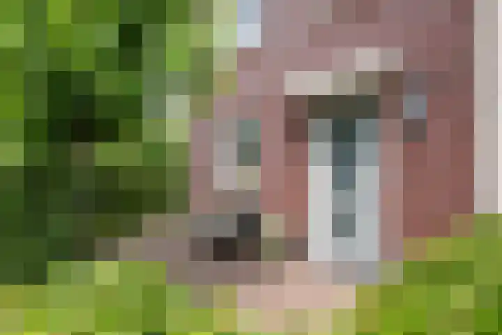 Koetsierstuin 20 Zevenhuizen thumbnail 4