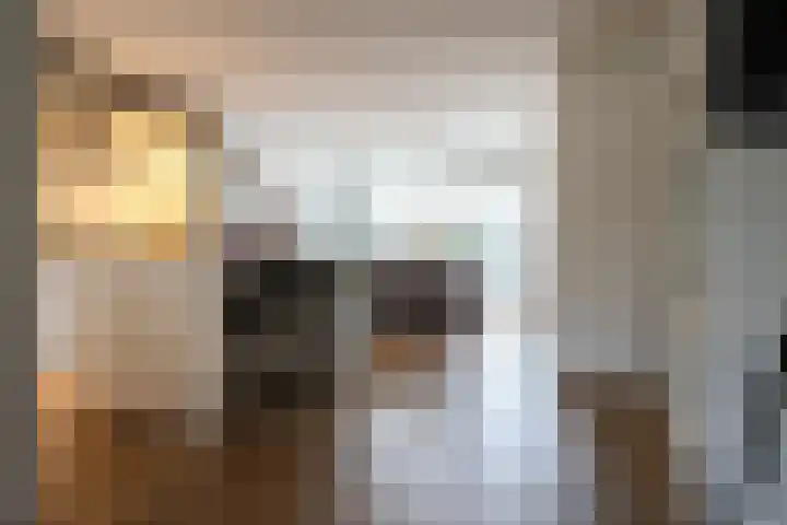 Koetsierstuin 20 Zevenhuizen thumbnail 6