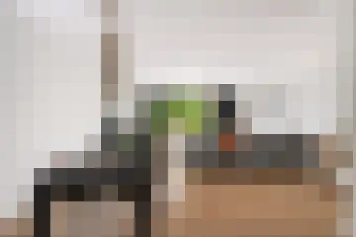 Koetsierstuin 20 Zevenhuizen thumbnail 6