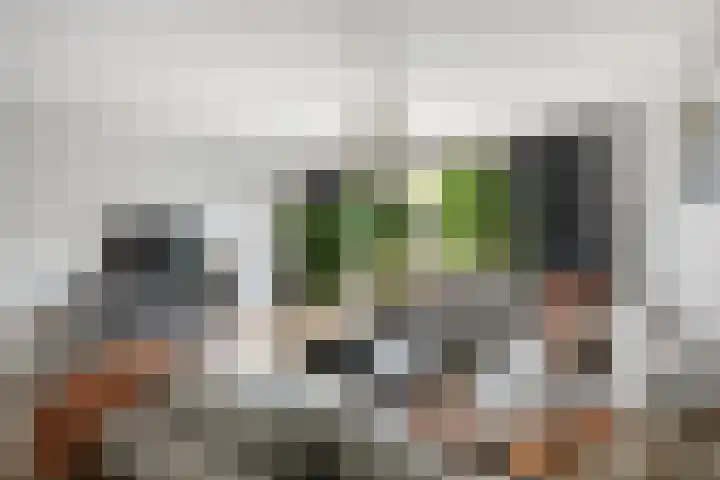 Koetsierstuin 20 Zevenhuizen thumbnail 7
