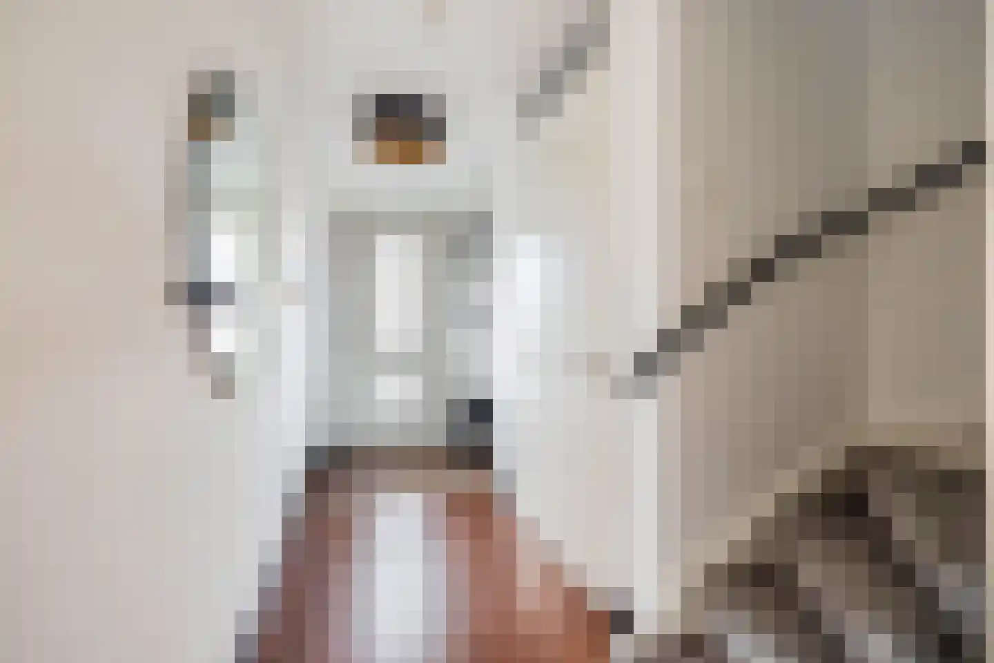 Koetsierstuin 6 Zevenhuizen thumbnail 4
