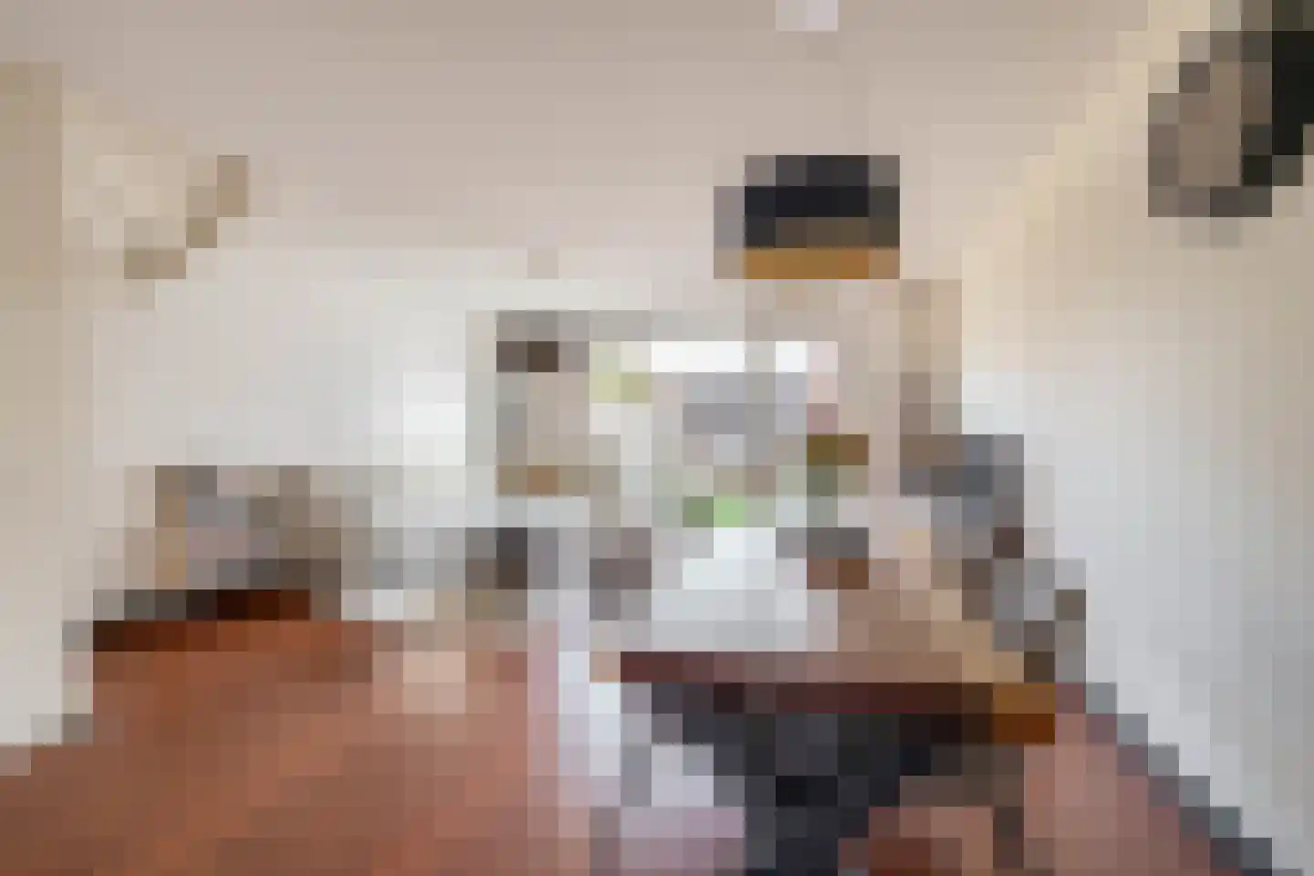 Koetsierstuin 6 Zevenhuizen thumbnail 8