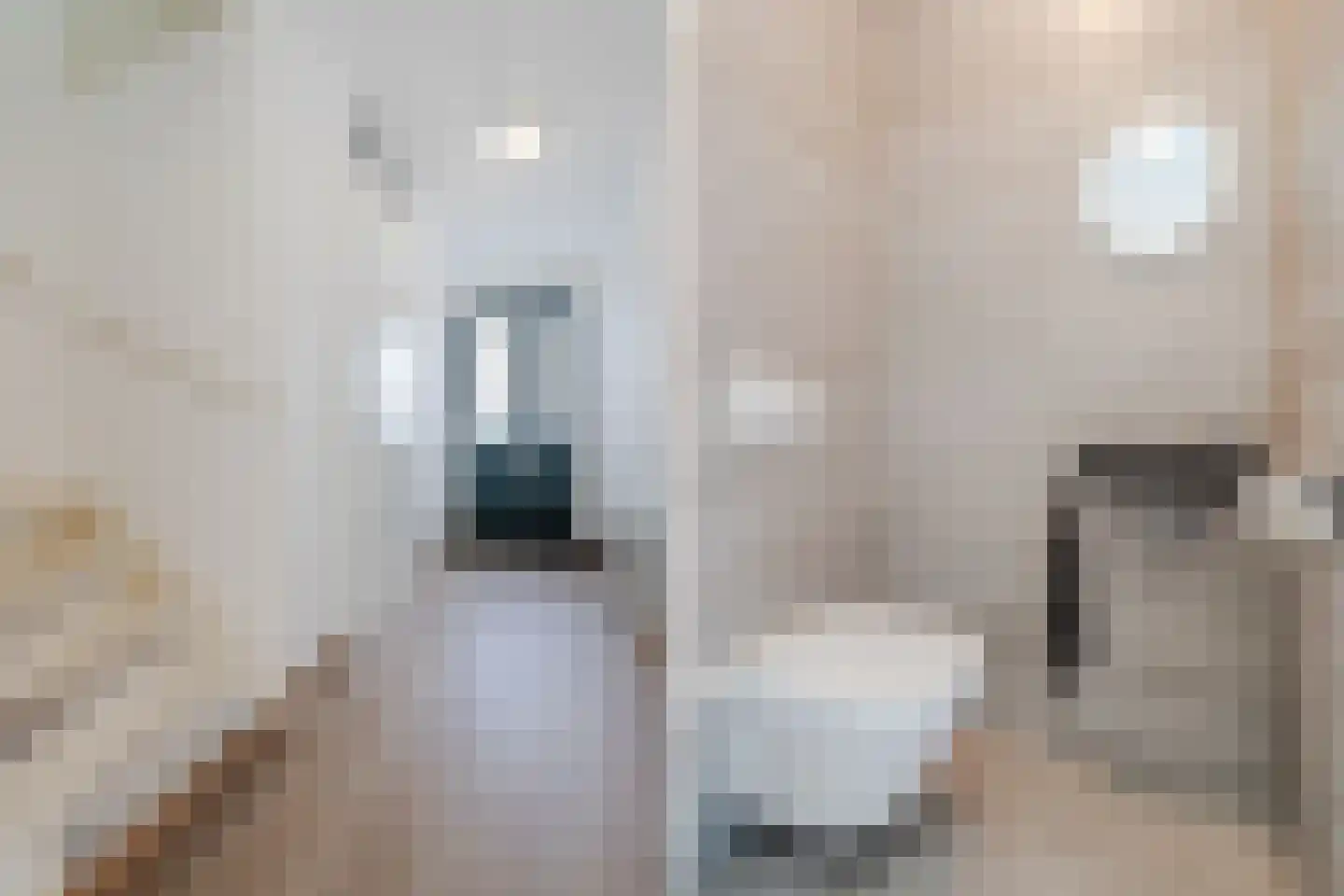 Koetsierstuin 9 Zevenhuizen thumbnail 15