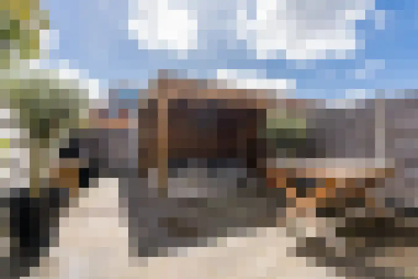 Koetsierstuin 9 Zevenhuizen thumbnail 35