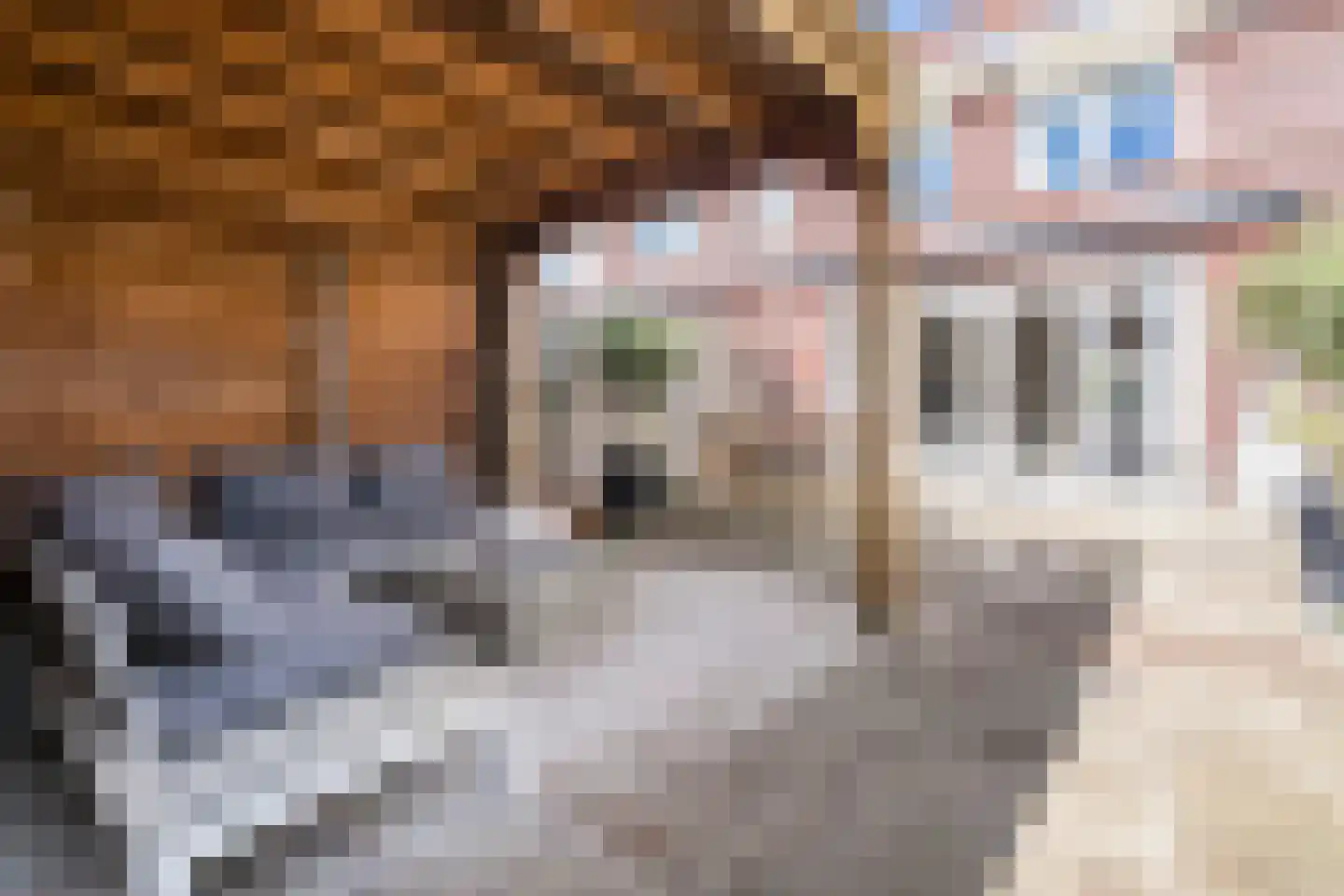 Koetsierstuin 9 Zevenhuizen thumbnail 38