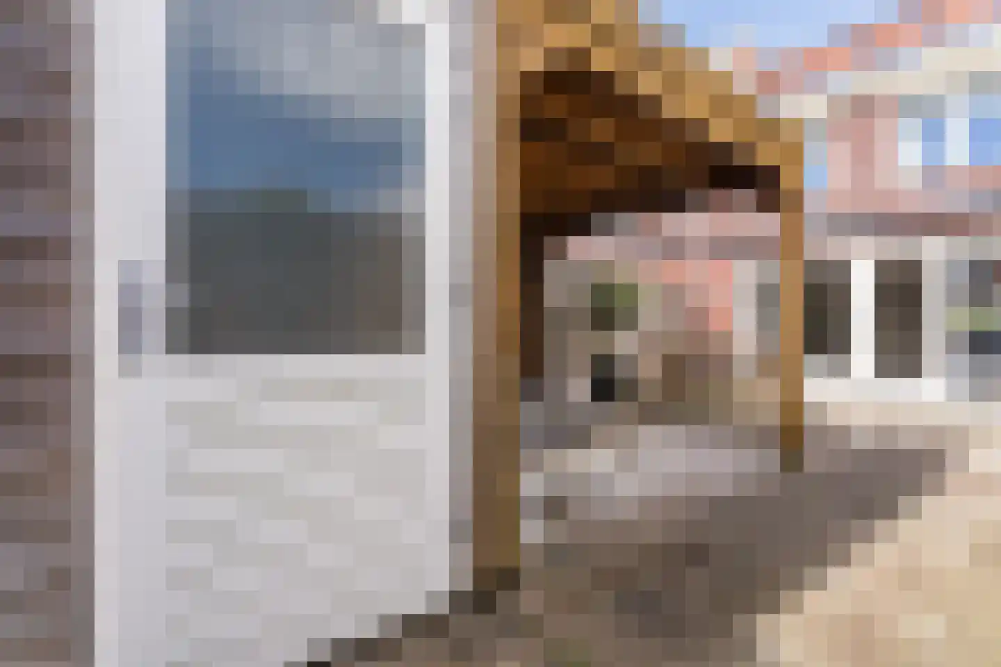 Koetsierstuin 9 Zevenhuizen thumbnail 39