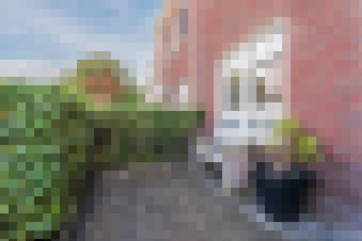 Koetsierstuin 9 Zevenhuizen thumbnail 44
