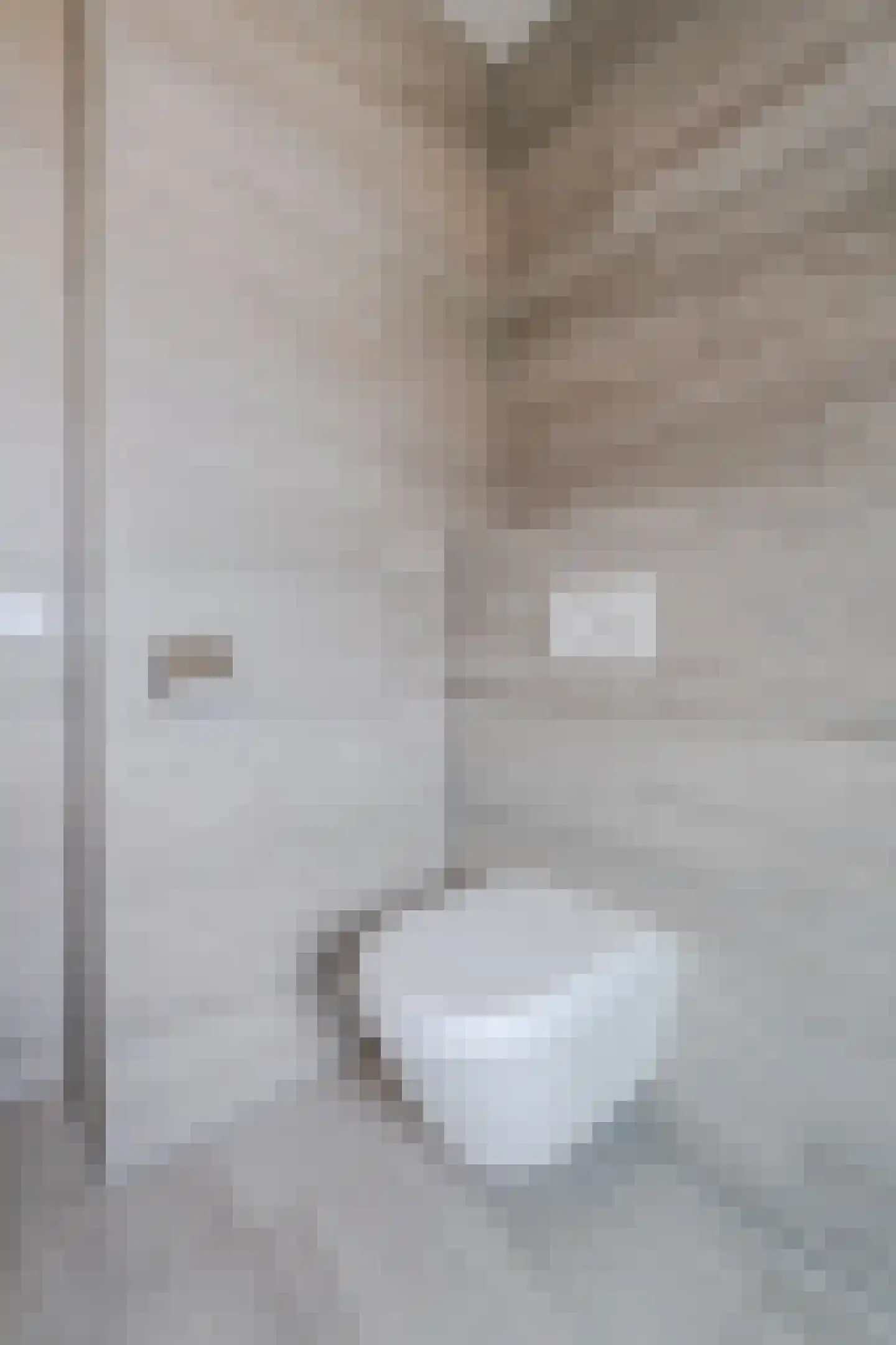 Koetsierstuin 9 Zevenhuizen thumbnail 54