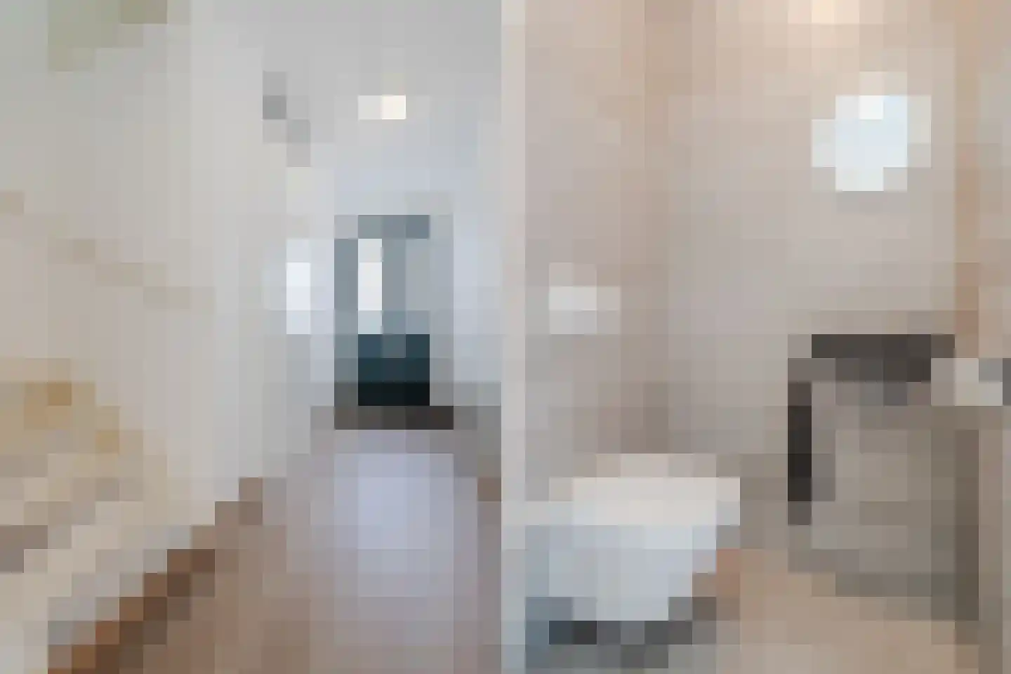 Koetsierstuin 9 Zevenhuizen thumbnail 59