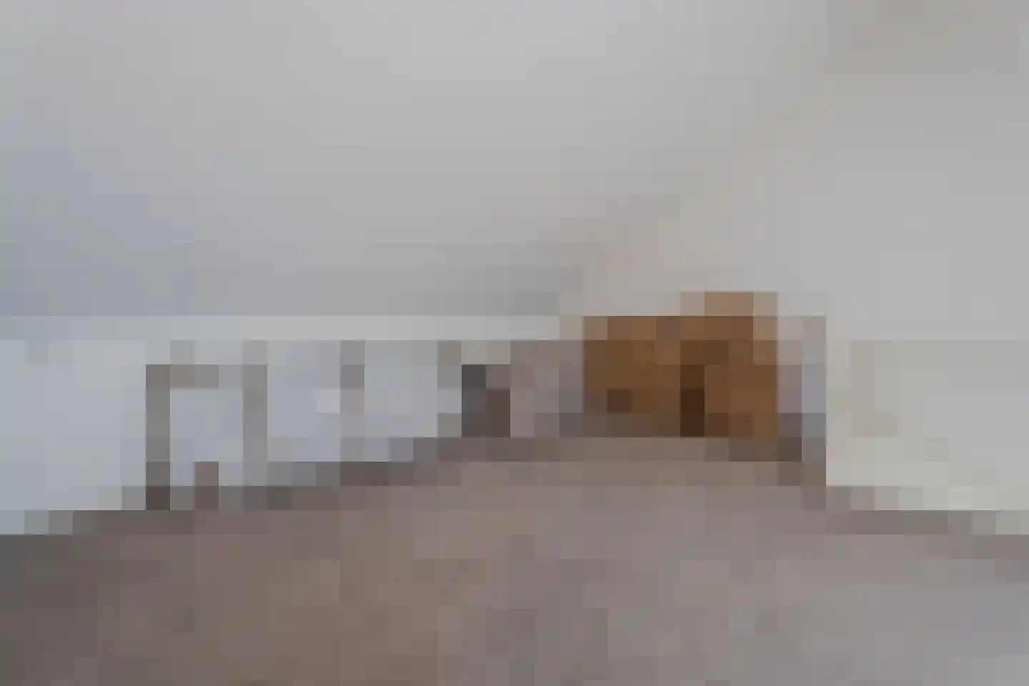 Koetsierstuin 9 Zevenhuizen thumbnail 65