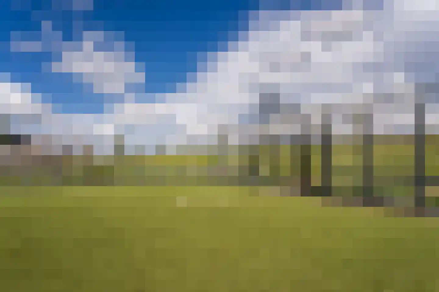 Koetsierstuin 9 Zevenhuizen thumbnail 66