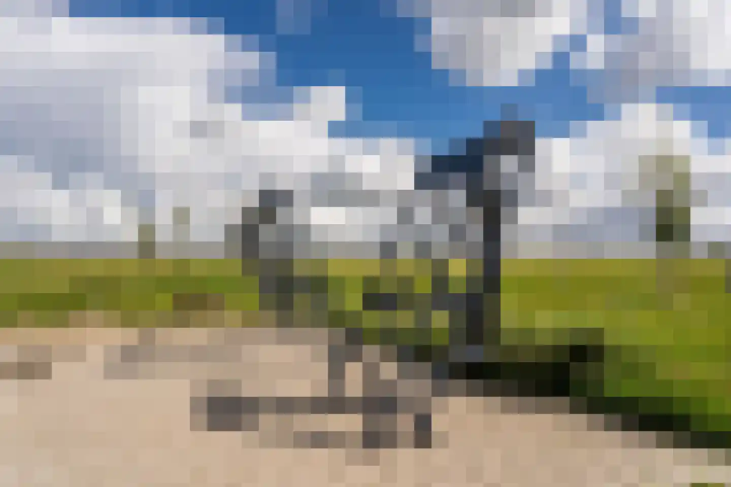 Koetsierstuin 9 Zevenhuizen thumbnail 67