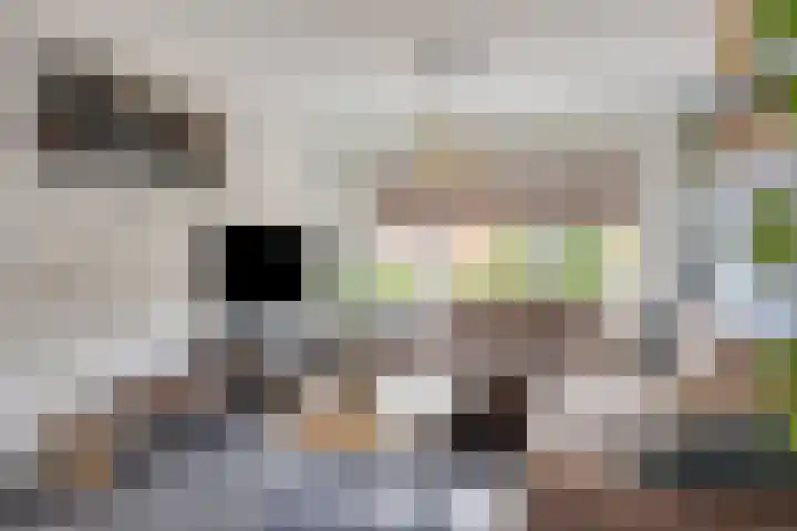 Koetsiersweg 10 Helden thumbnail 10